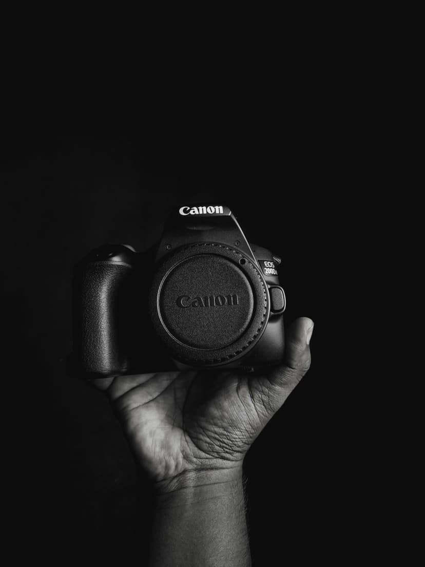 momodu media portfolio